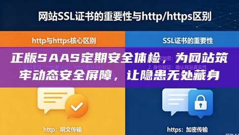 正版SAAS定期安全体检，为网站筑牢动态安全屏障，让隐患无处藏身