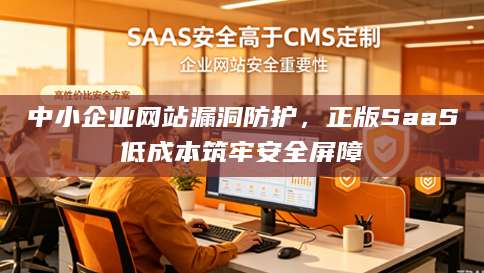 中小企业<strong>网站漏洞</strong>防护，正版SaaS低成本筑牢安全屏障